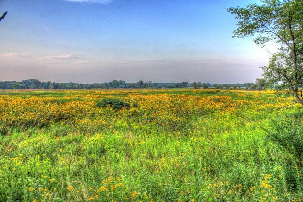 prairie landscape.