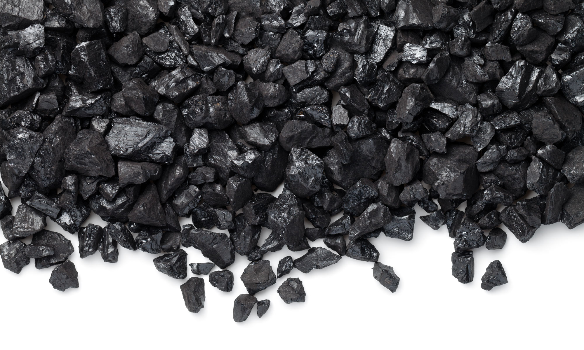 coal pieces scattered on white.