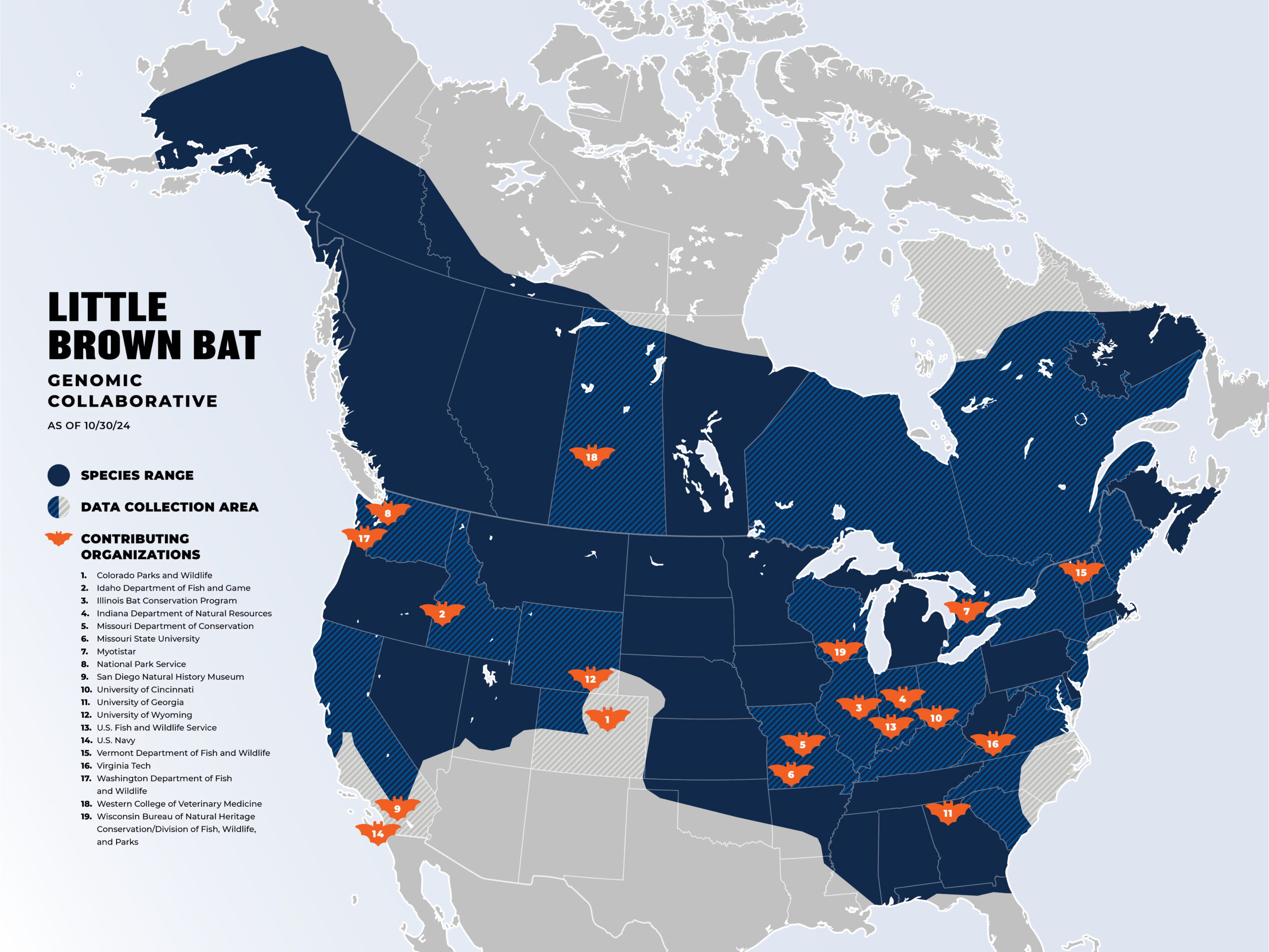 A map showing the historic range of the little brown bat, covering all U.S. states and Canadian provinces except New Mexico, Arizona, Texas, Louisiana, and Nunavut. The range area is shaded dark blue. Data collection areas are marked in light blue with diagonal lines, covering 25 states and provinces: California, Colorado, Connecticut, Idaho, Illinois, Indiana, Kentucky, Maine, Maryland, Missouri, New Hampshire, New Jersey, New York, North Carolina, Ohio, Ontario, Quebec, Rhode Island, Saskatchewan, South Carolina, Vermont, Virginia, Washington, Wisconsin, and Wyoming. Locations of 19 collaborator organizations are marked with orange bat icons, including agencies and universities such as Colorado Parks & Wildlife, the Illinois Bat Conservation Program, the University of Wyoming, and the US Fish and Wildlife Service. The map has a legend identifying species range, data collection areas, and a numbered list of contributing organizations. It shows state and province boundaries without other geographic features or a scale.