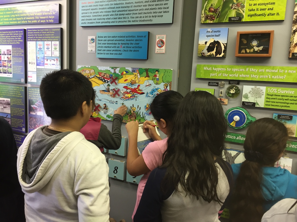 4 kids reading the Exotics display in the Traveling Science Center.