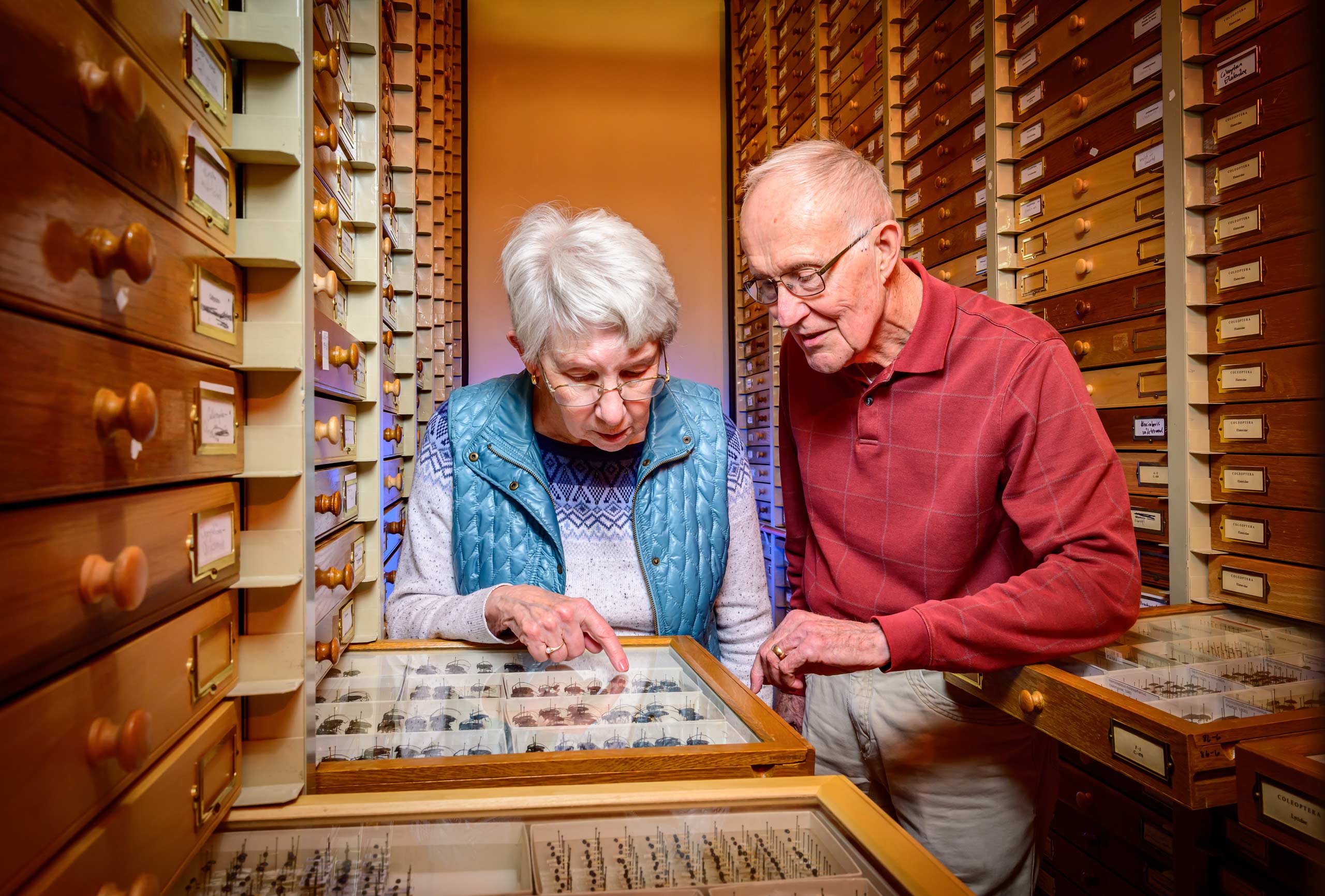 Woman and man look at a drawer of pinned beetles.